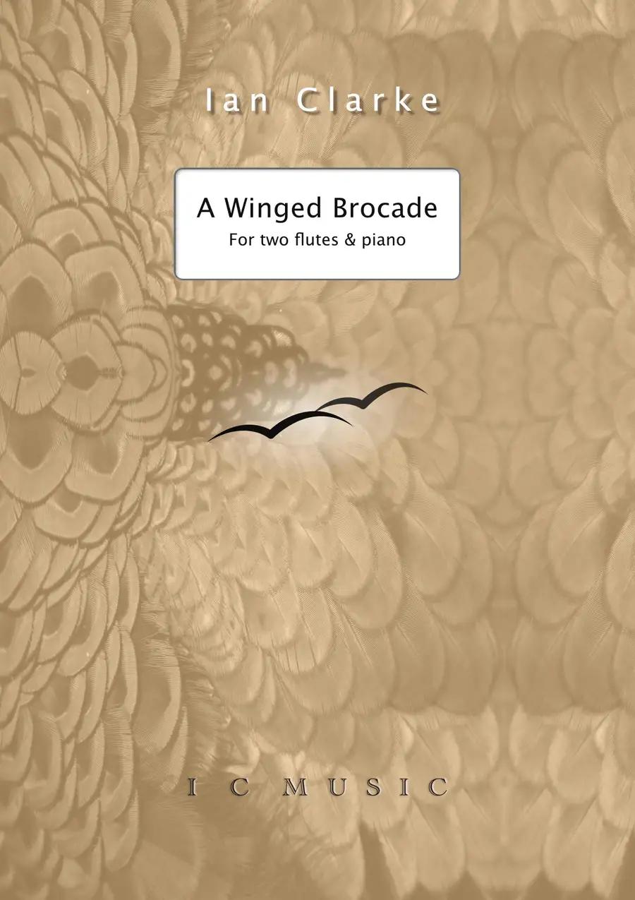 A winged brocade - Ian Clarke | Suono Flauti