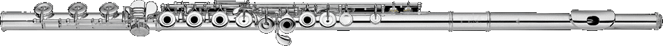 CF 401 RBE | Suono Flauti