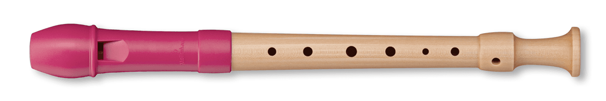 17312 FIPPLE Tere soprano berry tedesco fori singoli | Suono Flauti